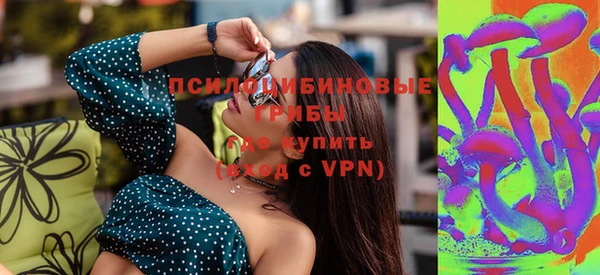 тгк Заводоуковск