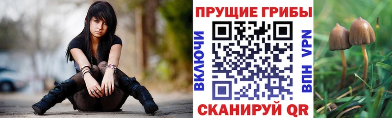 Галлюциногенные грибы прущие грибы Медвежьегорск