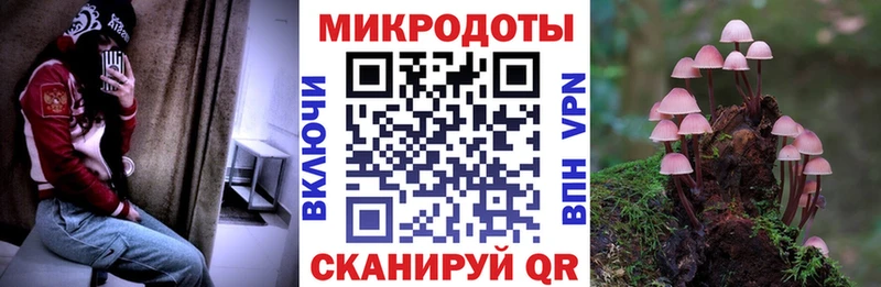 Псилоцибиновые грибы мухоморы  Купить закладки  Медвежьегорск 